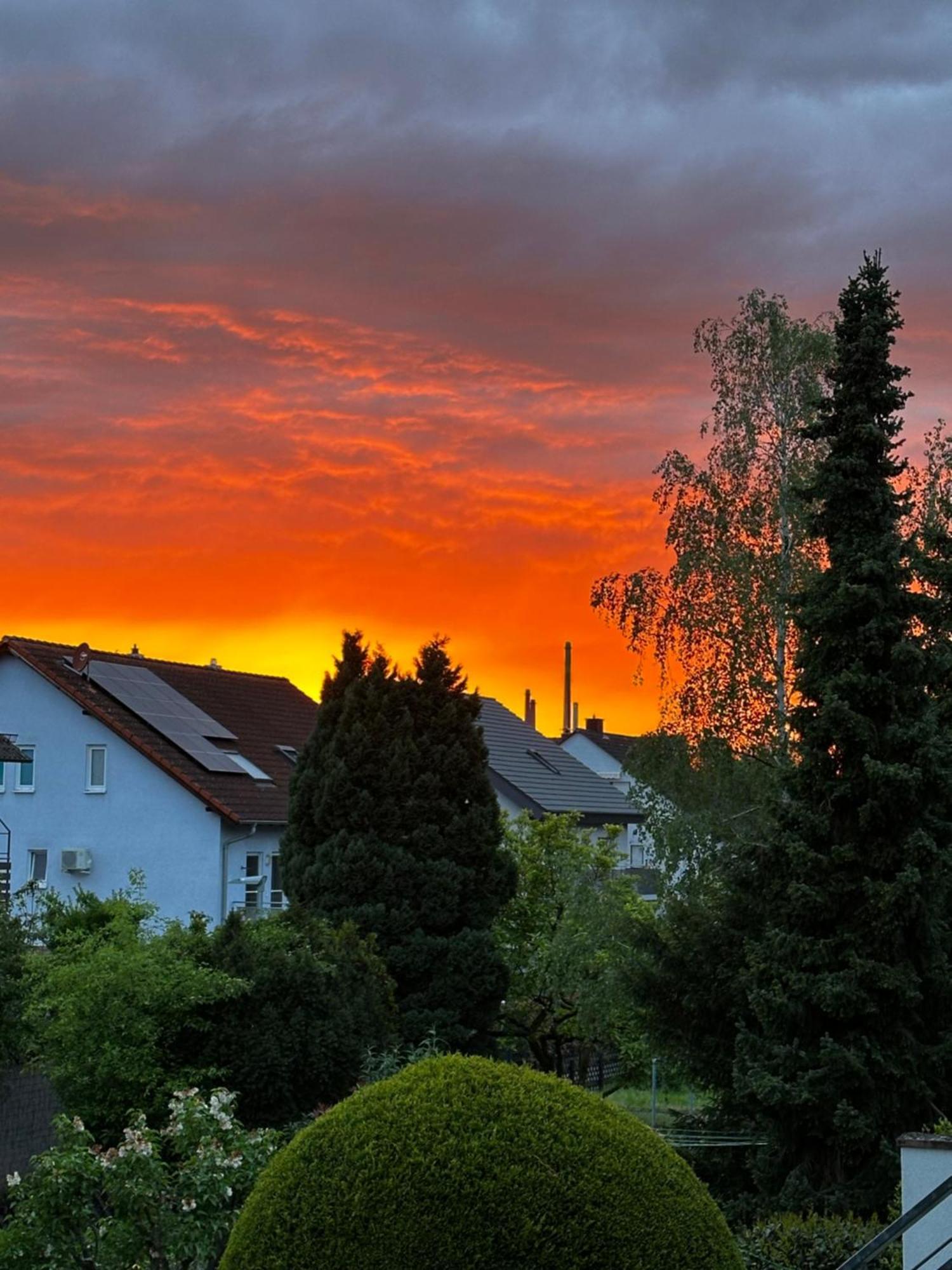 Gemuetliche Wohnung Karlsruhe Exteriör bild